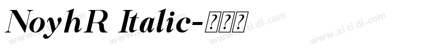 NoyhR Italic字体转换 NoyhR Italic字体转换